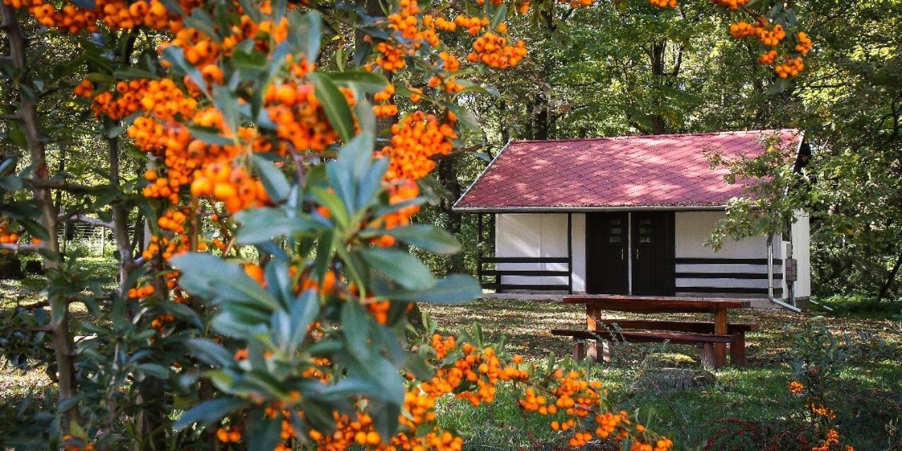Hódoséri Vadászház Bakonyszentlaszlo Exterior foto