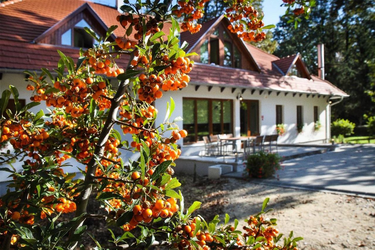 Hódoséri Vadászház Bakonyszentlaszlo Exterior foto